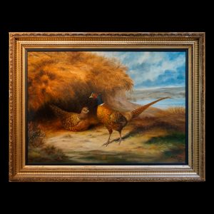 Faisán Aristodemo Lattanzi